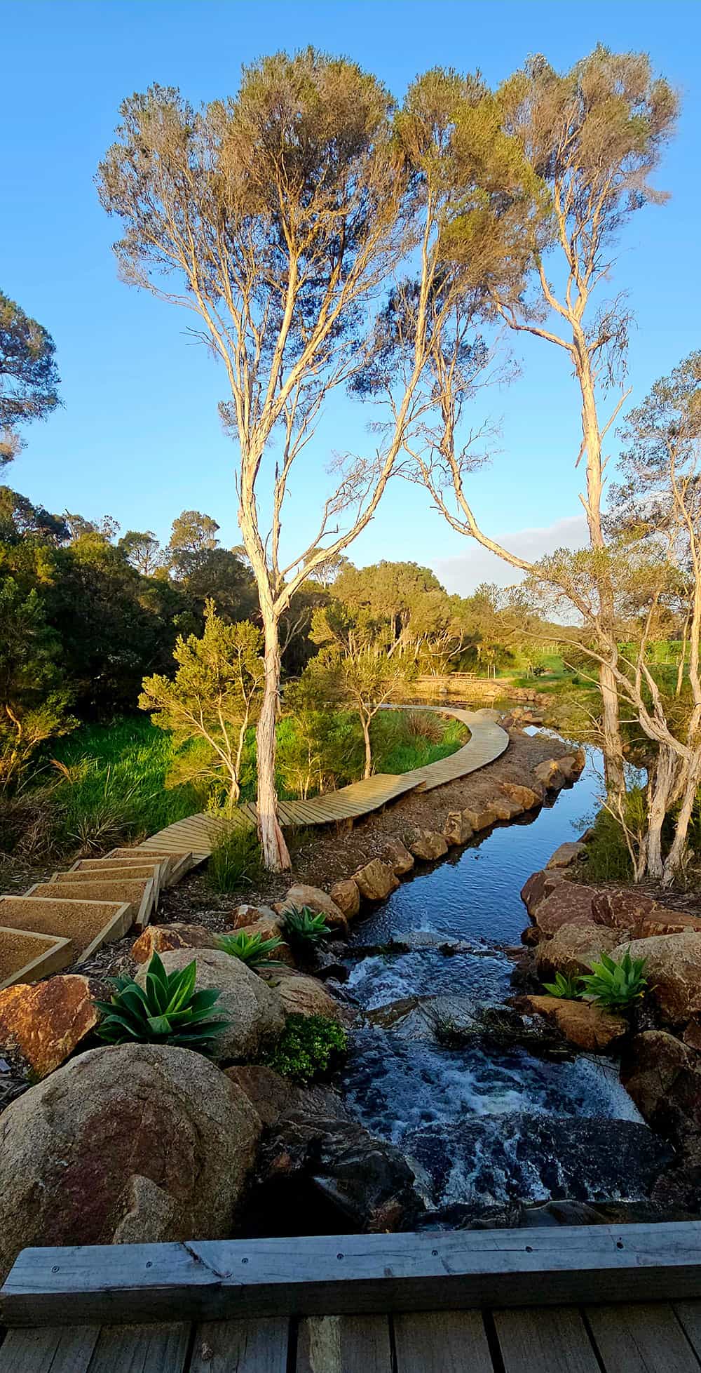 panorama-landscapes-cascading-creek